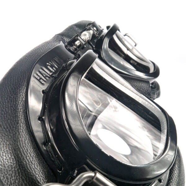 Mark 10 Side View Goggle